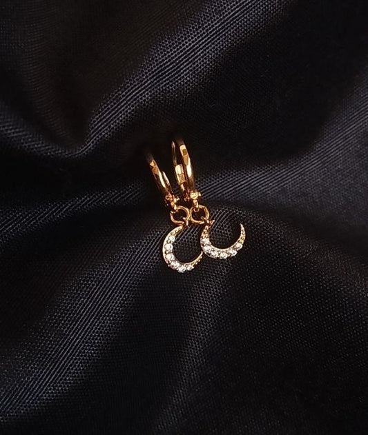 Moon Hoop Earrings