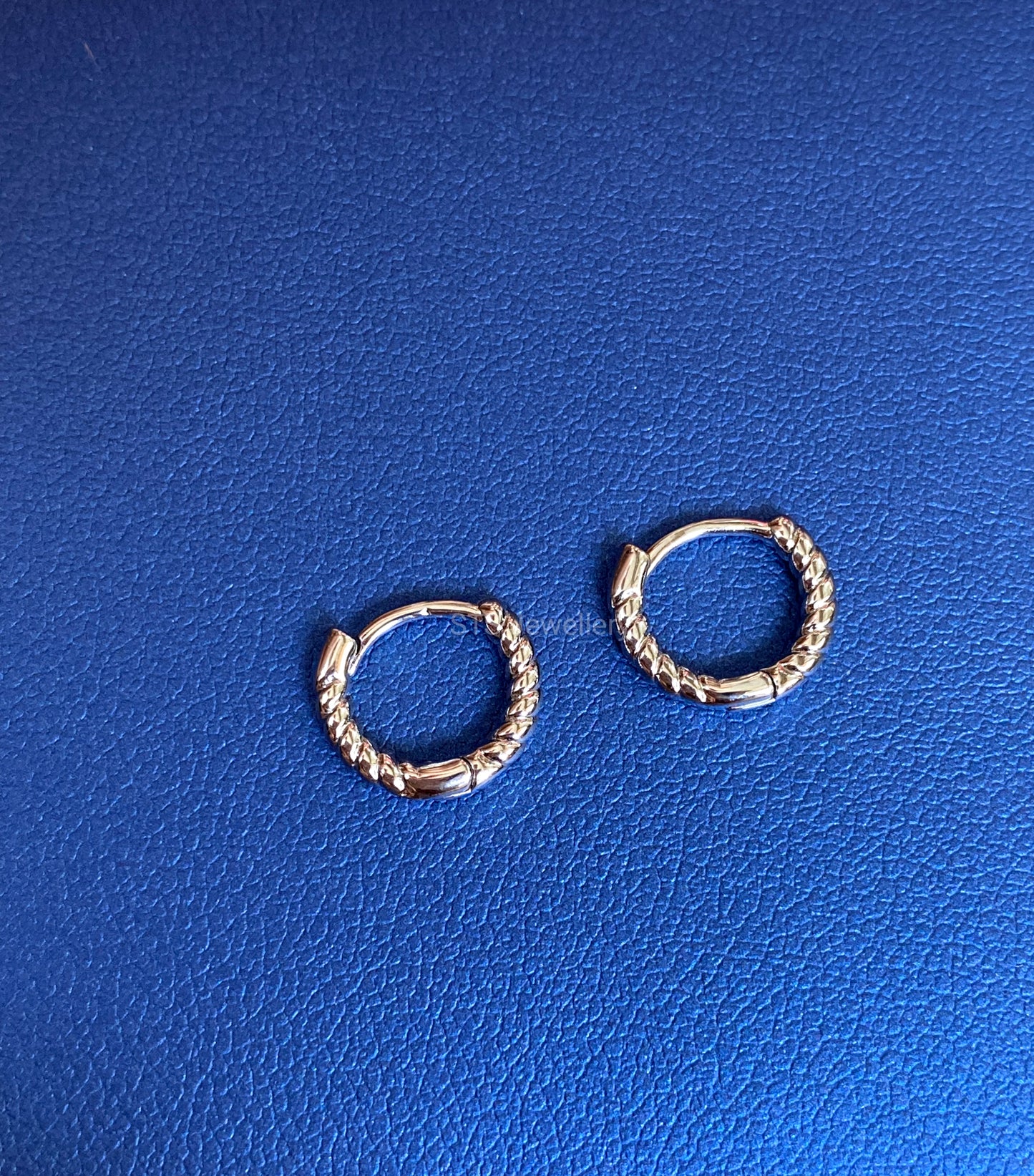 0.8.Twisted Silver Coloured Helix Hoop Earrings